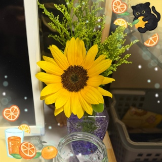 Vq🌻