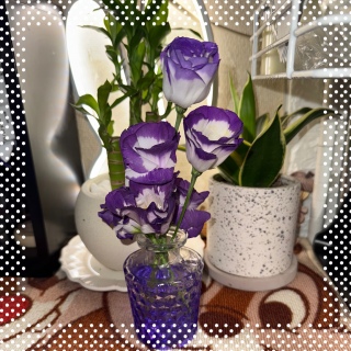 Vq💐