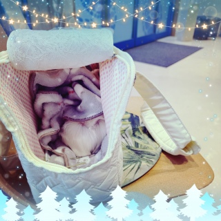 �t�یN��f🏥