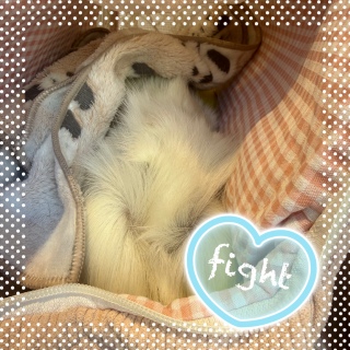 �撣���Ă�💪🏻