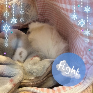 �ʉ@4����🏥