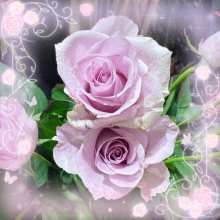�K�N🌹💜